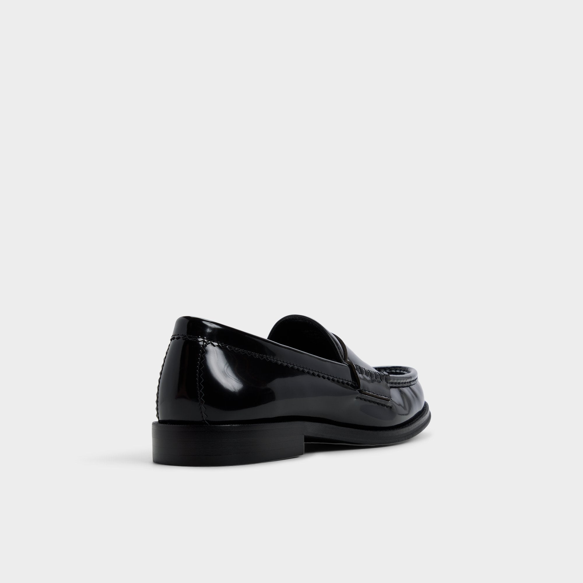 Aldo Ludovik in Black - Loafer New|Men