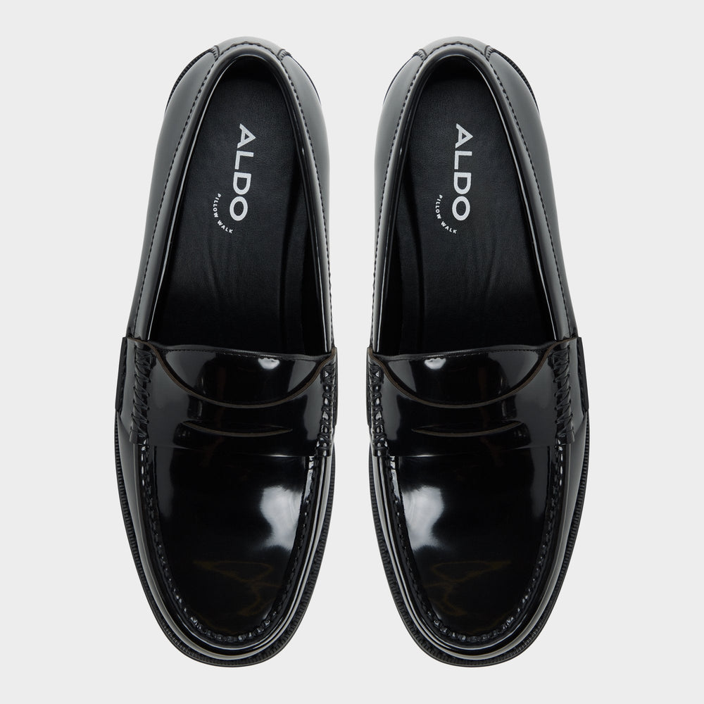 Aldo Ludovik in Black - Loafer New|Men