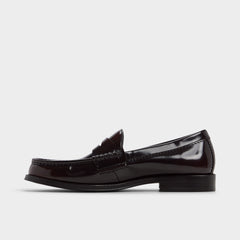 Aldo Ludovik in Bordo - Loafer New|Men