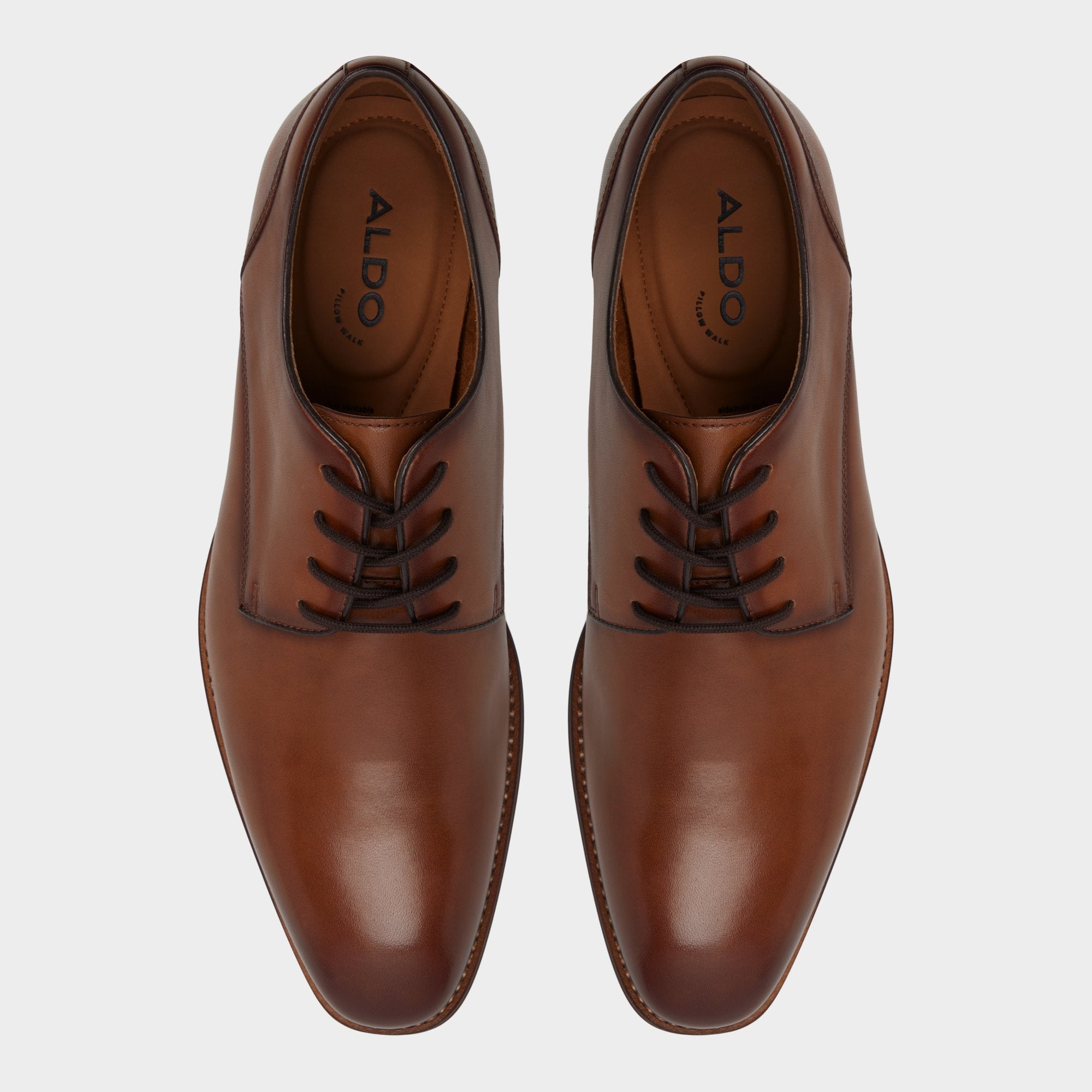 Aldo Allegro in Cognac - Oxford shoe New|Men