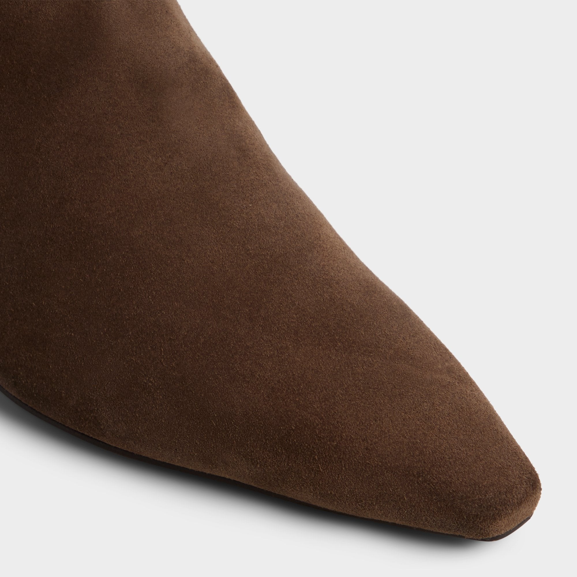 Aldo Muttsee Other Brown Women's Tall Boots - Knee-high boot, Brown Women
