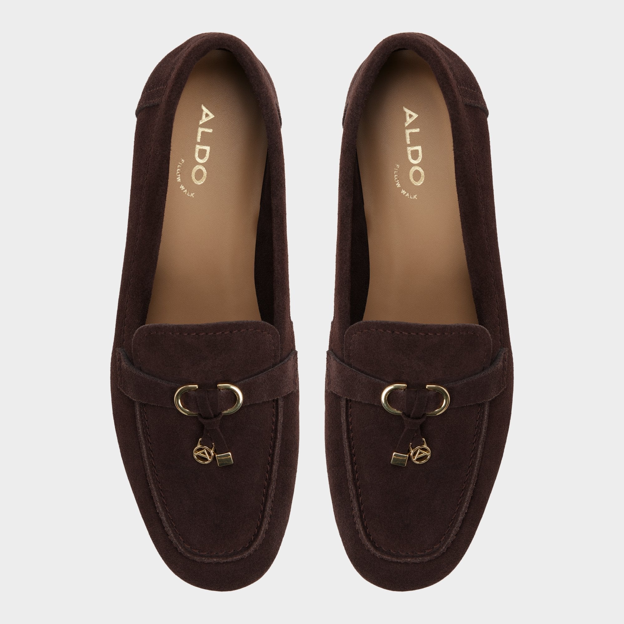 Aldo Ybilide in Dark Brown - Loafer Women
