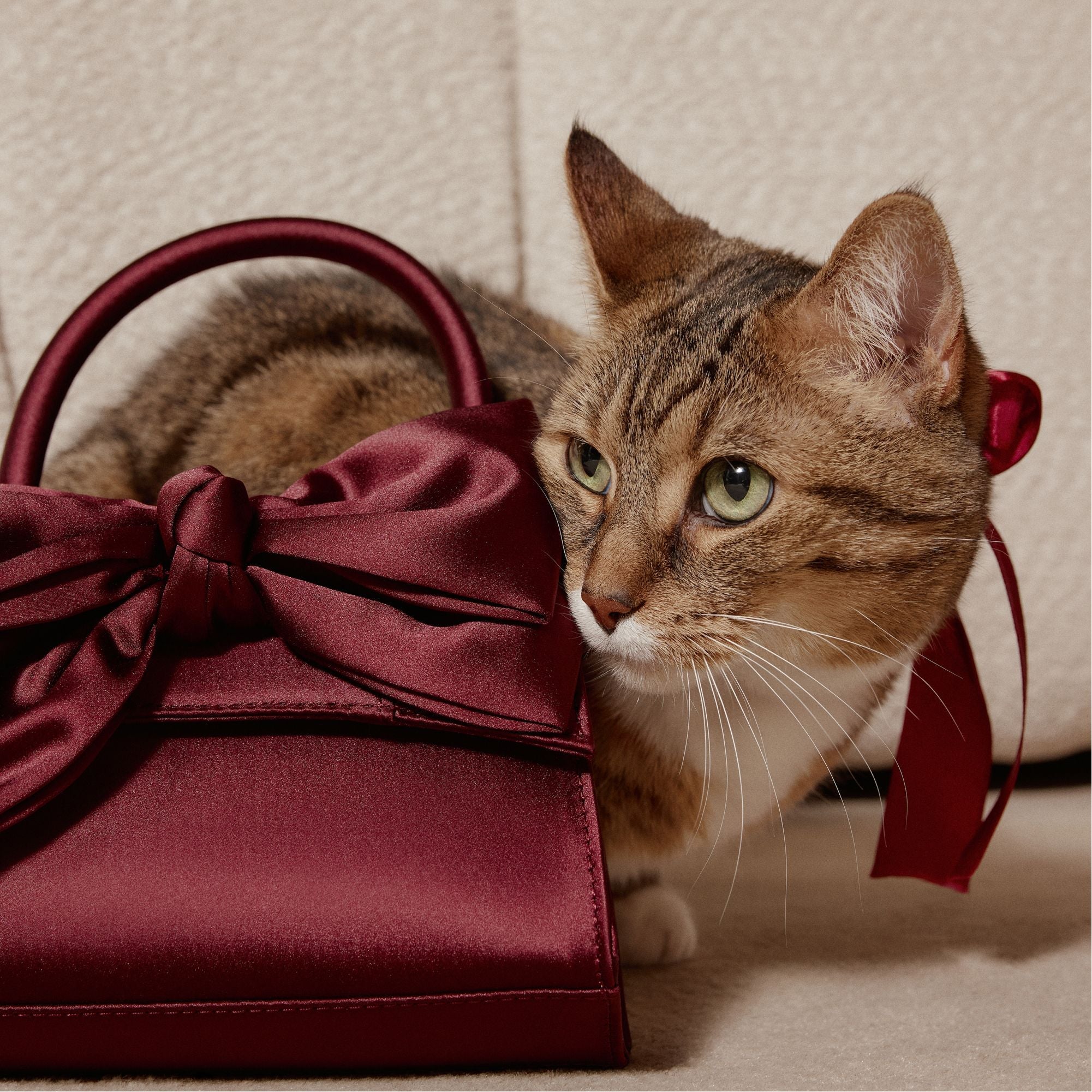 Aldo Decadencee in Dark Red - Top handle bag Women|Bags