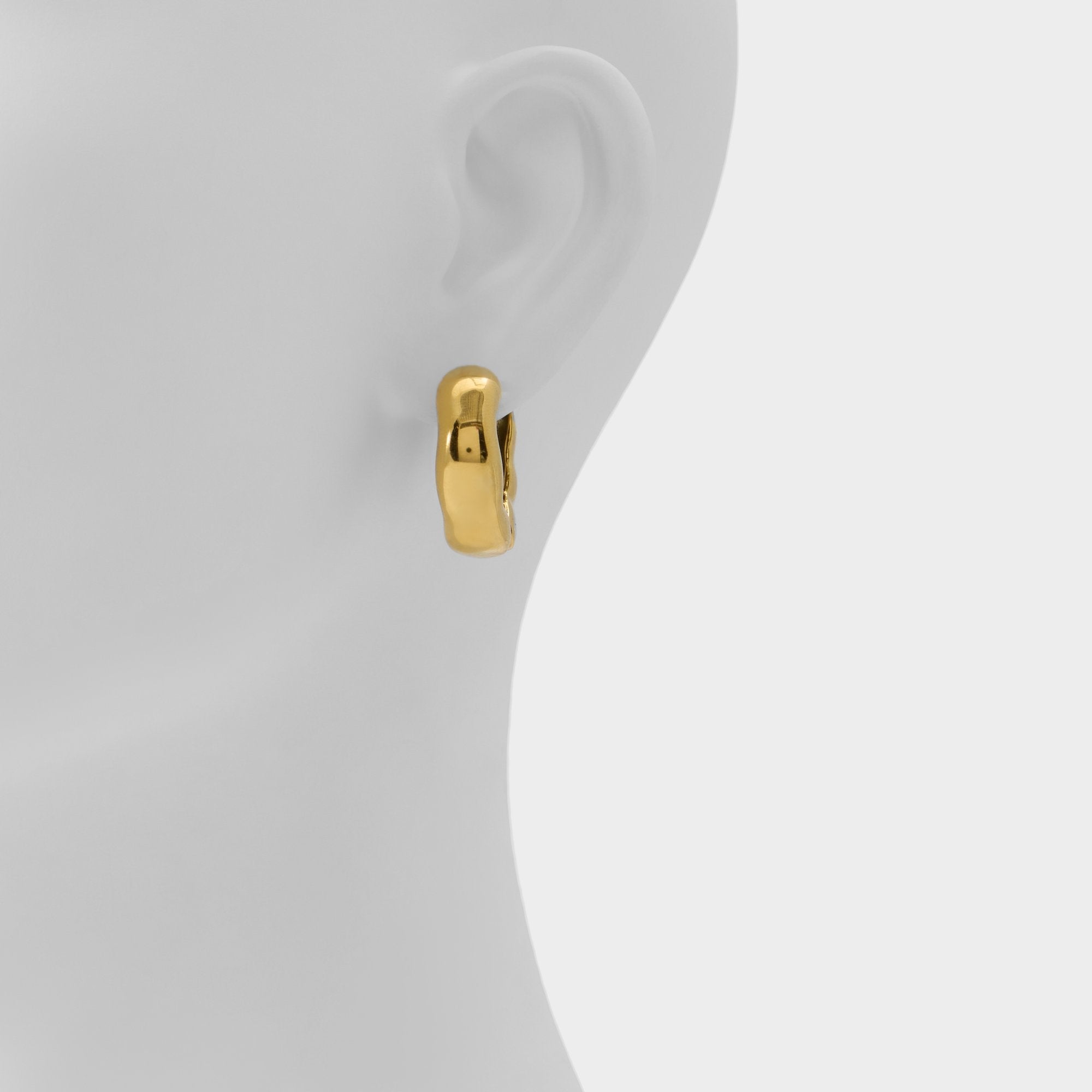 Aldo Carandar in Gold - Hoop earrings Women|Accessories