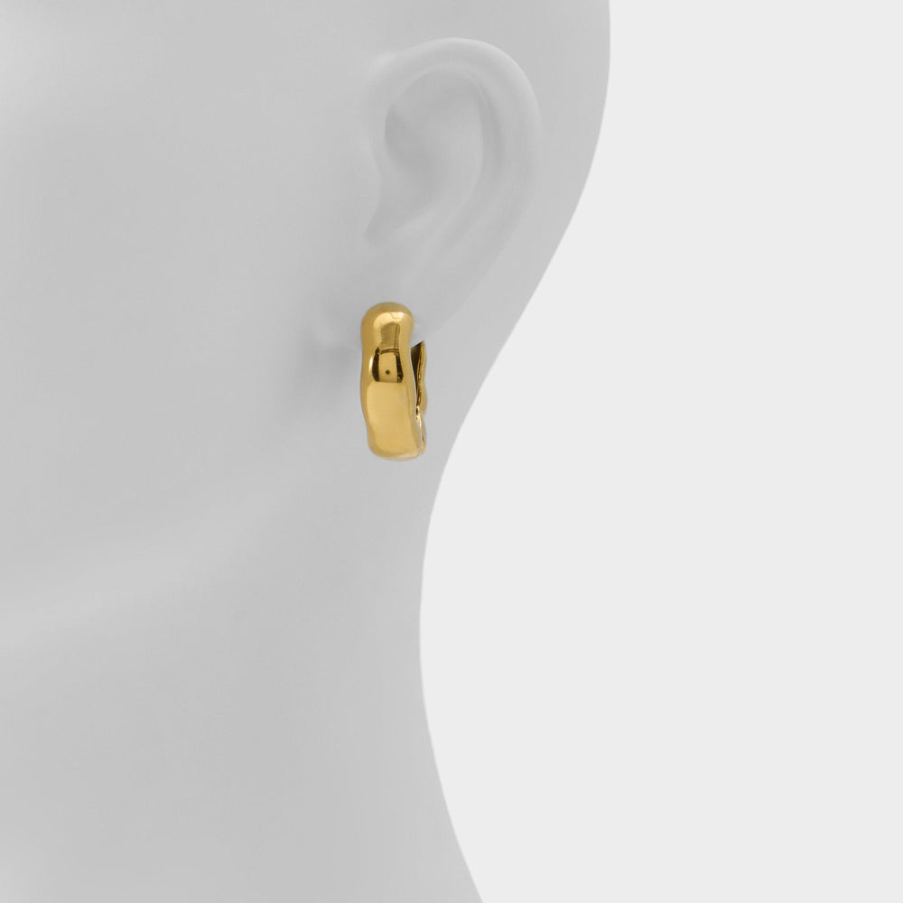 Aldo Carandar in Gold - Hoop earrings Women|Accessories