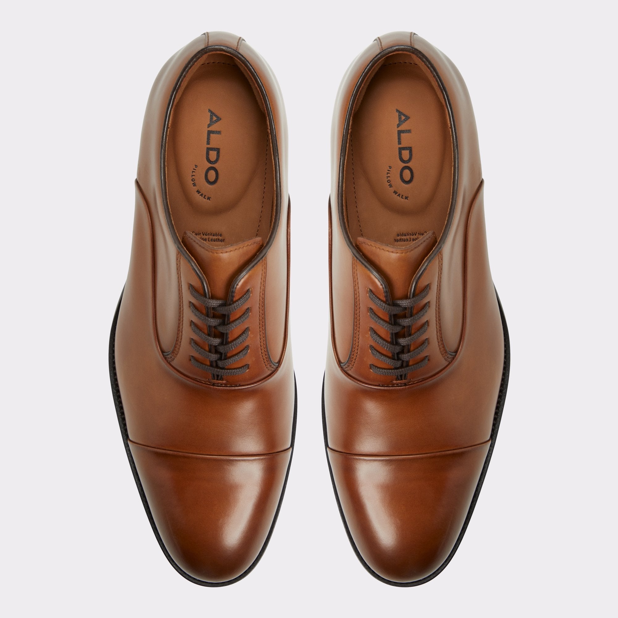 Aldo Lazio in Cognac - Oxford shoe Men