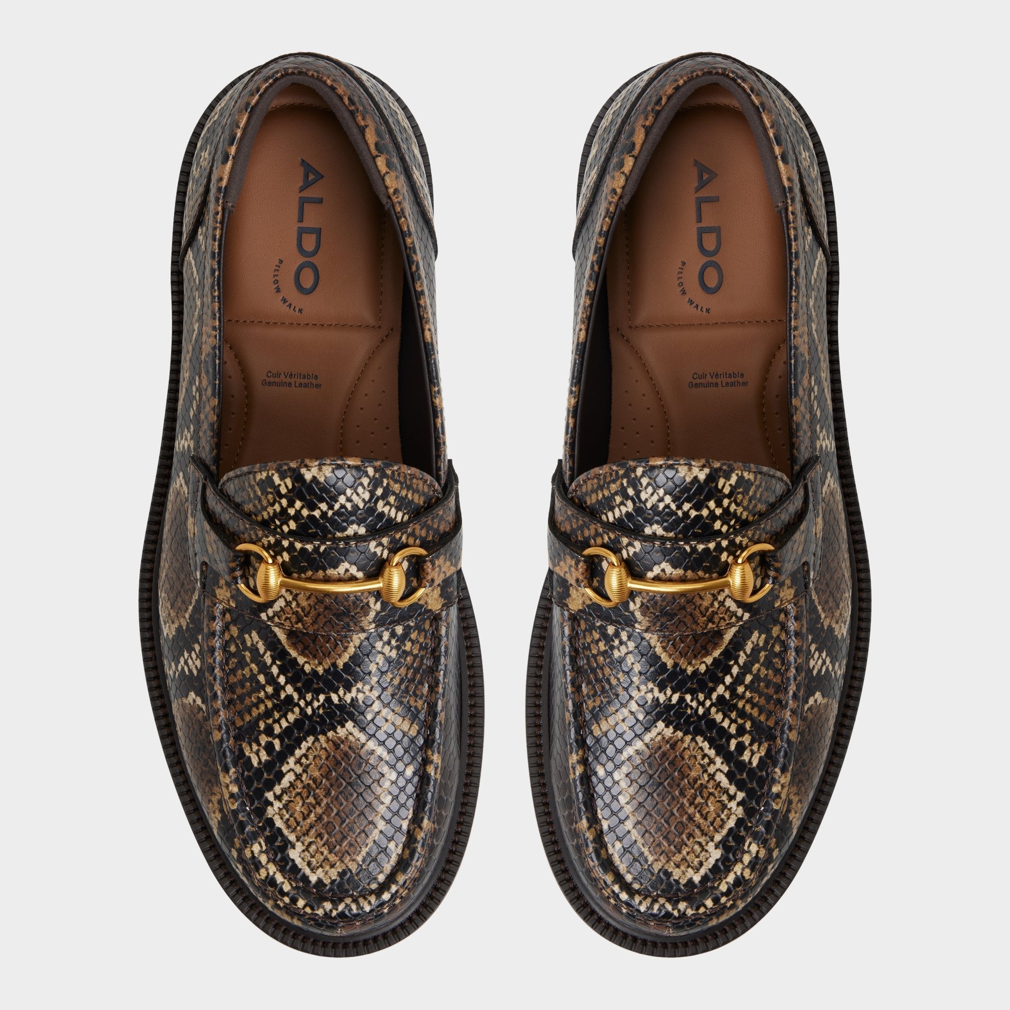 Aldo Arturo in Brown - Loafer Men