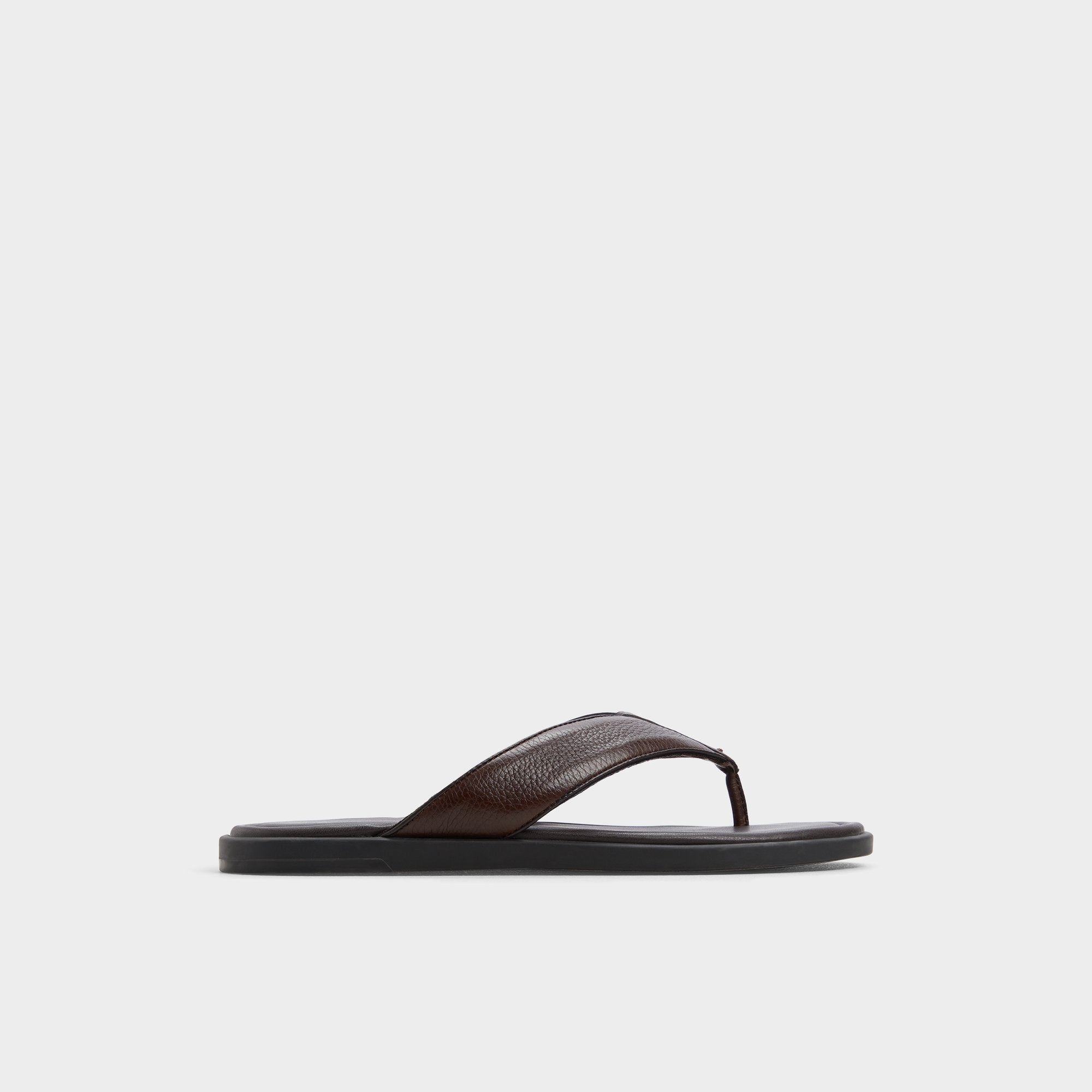 Aldo Tazzo Dark Brown Men's Flip flops - Flip flop Men