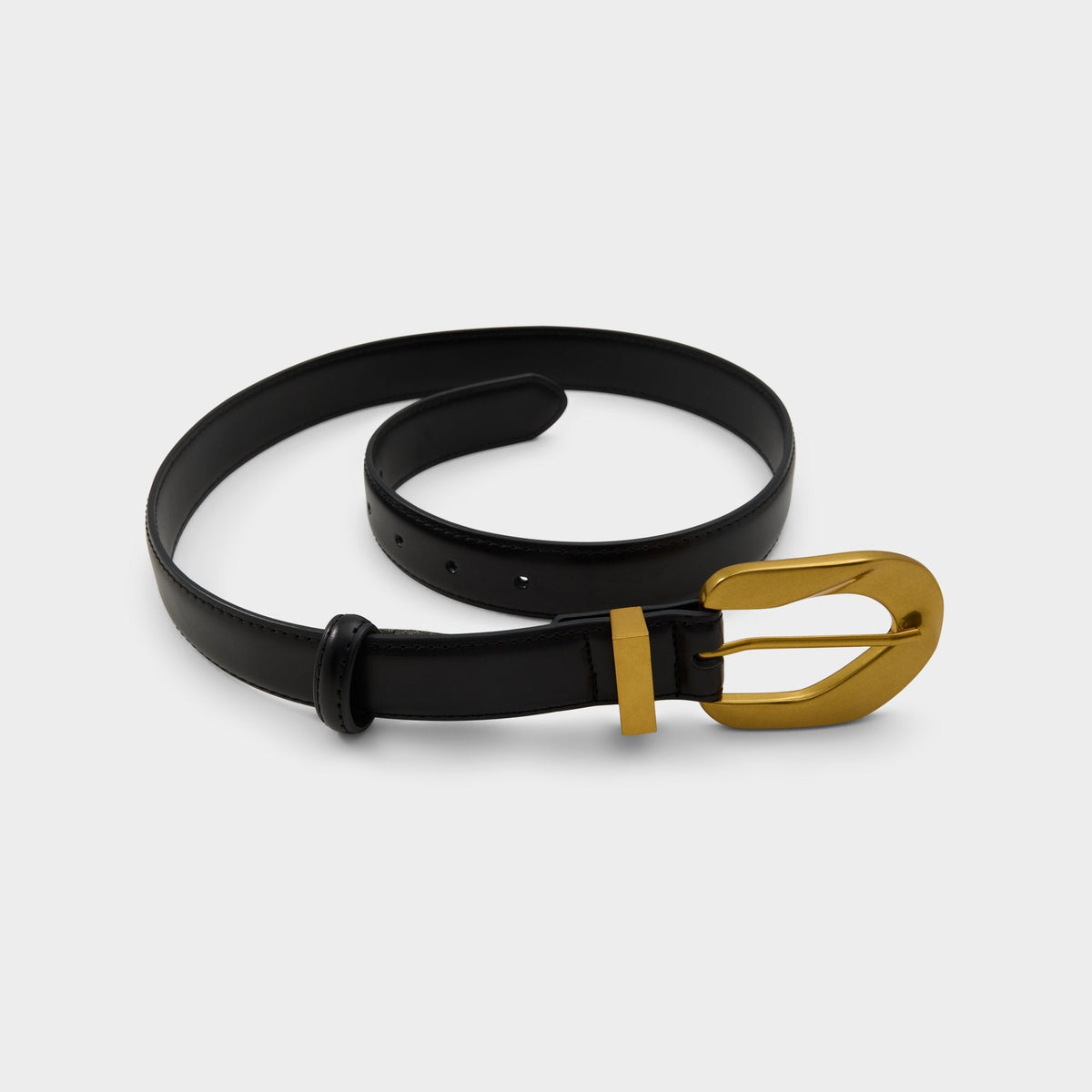 Aldo Raiyne in Black Gold Multi - Belt Accessories